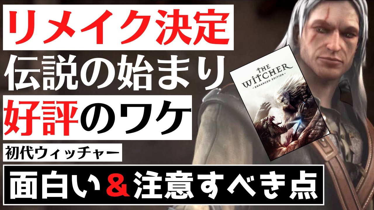 ホット製品 ウィッチャー2 王の暗殺者 完全日本語版 プレミアムエディション(品)