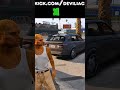 Rata RatFace Tries to Understand Brazilian