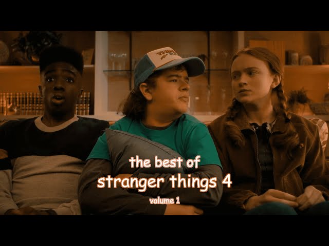 Stranger Things Memes - 165 (WILL you watch stranger things with