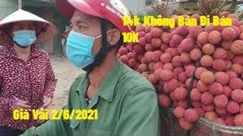 2/6. Giá Vải Thiều, U Hồng Sáng Sớm Trả 14K Không Bán Đi Tiếp Được 10k Vải Thiều Lục Ngạn Bắc Giang