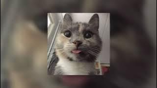 1000 tahun lamanya [ sped up   reverb ]