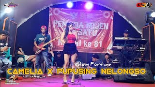 CAMELIA X PUPUSING NELONGSO ~ DEWI FORTUNA | AS MUSIK | LIVE PEMUDA MIJEN BERSATU NGEMBALREJO KUDUS