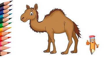 How to draw a camel step by step
