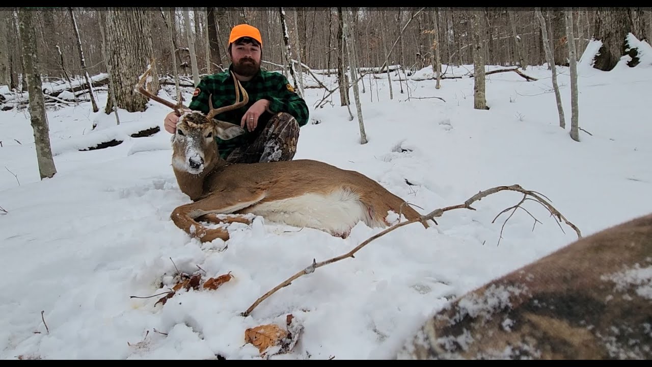 Tracking The Adirondacks NY 2022 Deer Hunting Rifle Season Day 2 Public Land Buck Down! YouTube