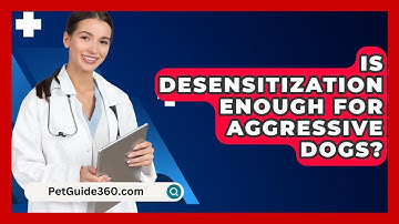 Is Desensitization Enough For Aggressive Dogs? - PetGuide360.com