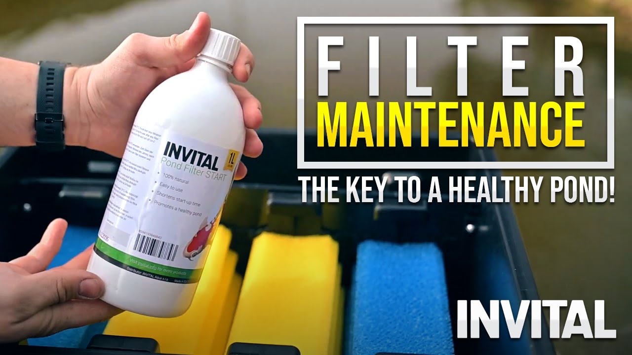 Spuštění a údržba jezírkové biofiltrace | INVITAL