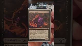 Let's take a look at Tasha, The Witch Queen. #magicthegathering #mtgcommander #mtgcommunity #mtg