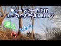 素人がチェーンソーで土手の立木を切ってる様子