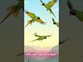 Five Green Parrots Flying Over Mountains