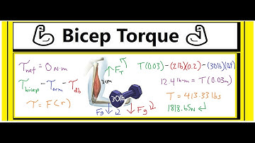 💪🏽Bicep Torque Problem (Tension =?)