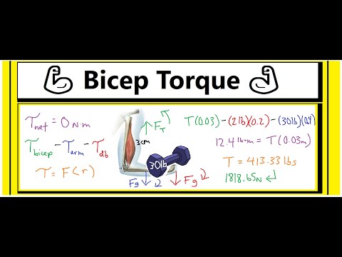 💪🏽Bicep Torque Problem (Tension =?)