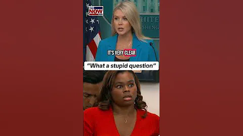 What A Stupid Question On Force Used Against Protesters Says White House Karoline Leavitt 