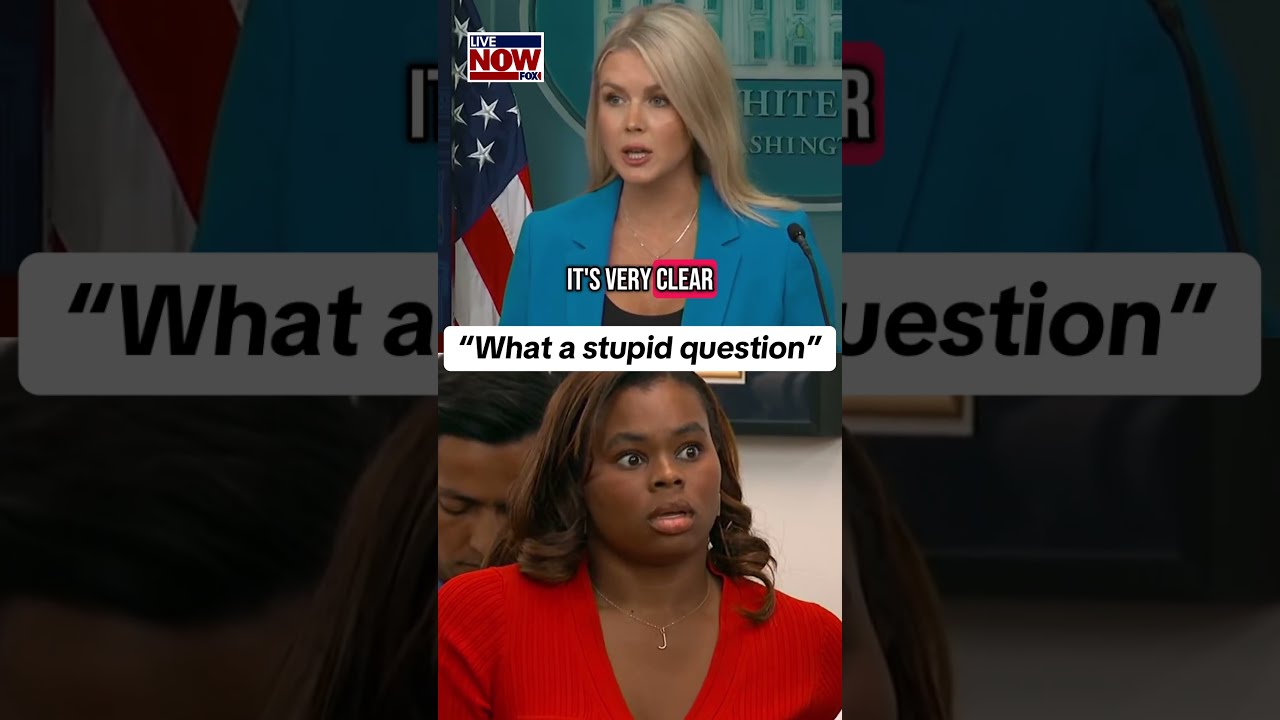  What A Stupid Question On Force Used Against Protesters Says White House Karoline Leavitt