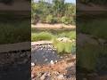 Tb dam 🔥🐟🌊nature #waterfall #fishingpoint