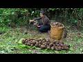 Abandoned by her husband, she digs up wild roots to survive the difficult season.