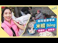 一大袋超便宜!! 現代少見的古法製作米棍+碾米 Đi nổ ống thổi và xát gạo ở quê