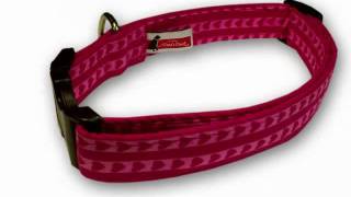 Dog & Cat Collars with Matching Leashes - Whimsical Fashions for Your Valentines!