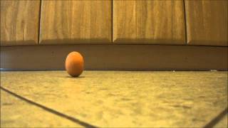 30 Second Science: Spinning Egg Experiment