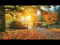 Beautiful Relaxing Music - Soothing Autumn Melodies, Eliminate Stress And Calm The Mind, Sleep Music