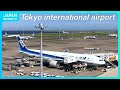 【Live】Tokyo International Airport ,Haneda Plane Spotting (NipponTV News24)  IATA: HND, ICAO: RJTT