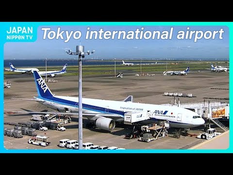 【Live】Tokyo International Airport ,Haneda Plane Spotting (NipponTV News24)  IATA: HND, ICAO: RJTT
