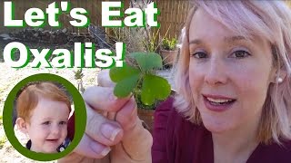 Let's Eat Shamrock on St. Patricks Day & Talk About Redheads!