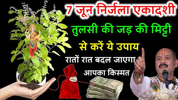 7 जून निर्जला एकादशी के दिन तुलसी की जड़ के मिट्टी से करें ये उपाय रातों रात बदल जायेगा किस्मत #upay