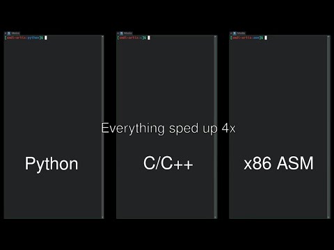 Python vs C/C++ vs Assembly side-by-side comparison - YouTube
