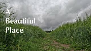 Relax and Recharge Deep Ambient Music