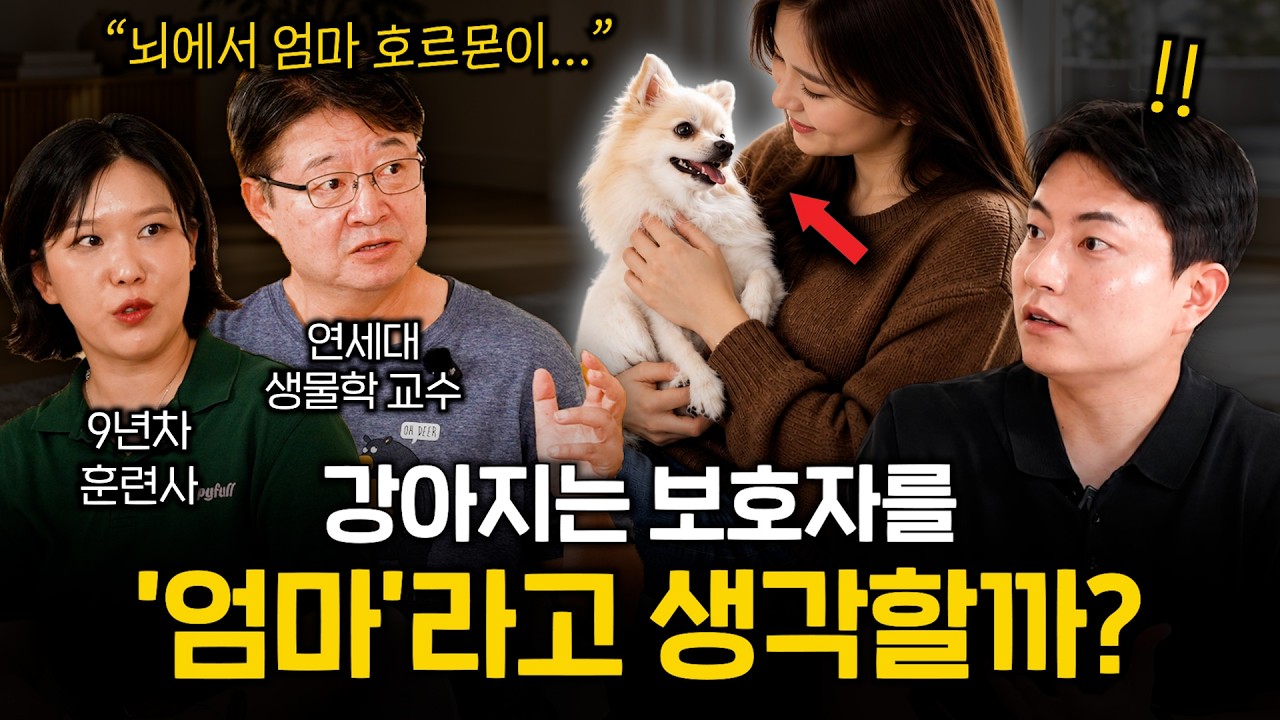강아지가 '이 행동'을 한다면 보호자를 엄마라고 생각하는 거에요 (과학적으로 증명된 행동) | 멍터ep.109
