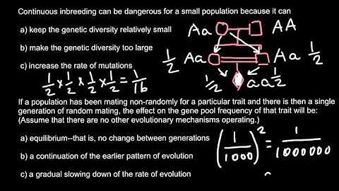 Inbreeding problem and solution
