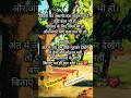 ज़िंदगी का असली मज़ा संतुलन में है— 💫#ज़िंदगीकाअसलमज़ा #wisdom_flow_qoutes