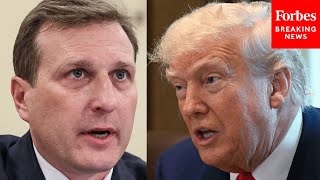 Dan Goldman Slams GOP: 'They Are Perfectly Happy For Donald Trump To Become A King, A Dictator'
