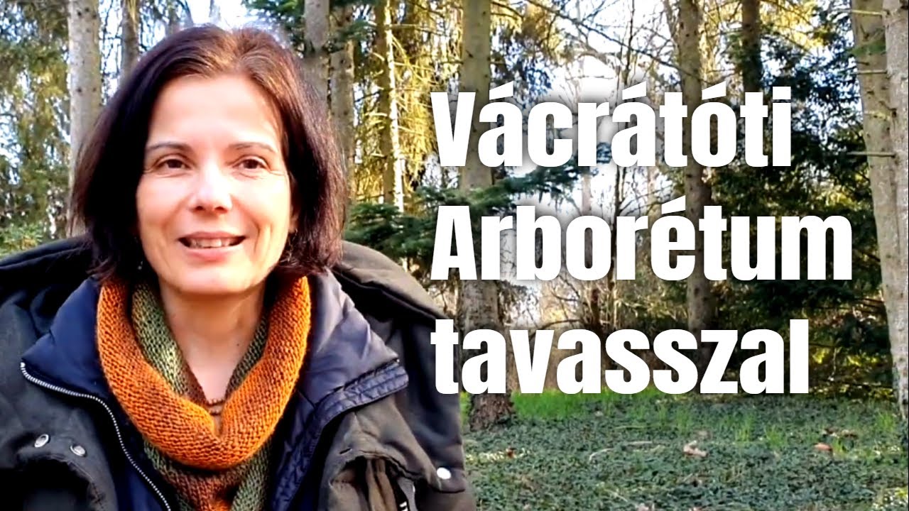 Vácrátóti arborétum - kora tavaszi csodák a Nemzeti Botanikus Kertben
