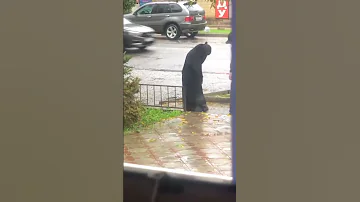 أحب الوفاء بشتى الصور أحب الوفي الأمين الأغر 