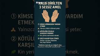 Kalbi Dirilten 3 Sessiz Amel