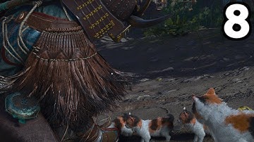 I Found Kitty Island on Assassin