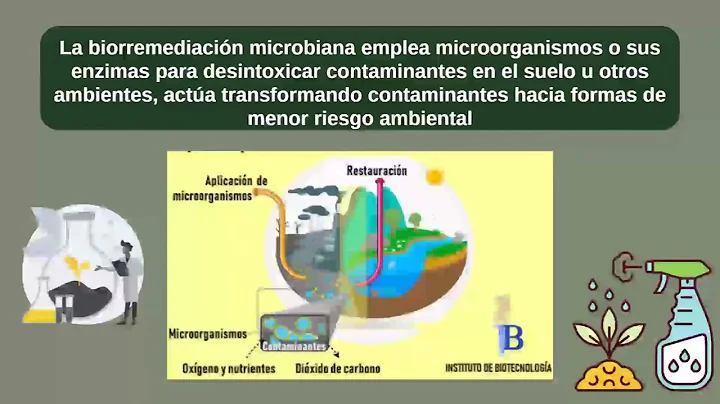 Stenotrophomas maltophilia