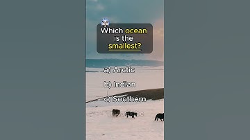 5-Question Quiz That Will Blow Your Mind! #foryou #facts #mindbendingquiz #triviatime