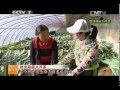 20150209 科技苑  种出超级大芦荟