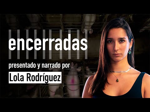 ENCERRADAS | Una investigación sobre las jaulas de la industria porcina española | Igualdad Animal