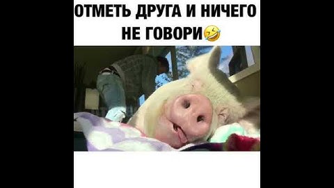 Отметь друга отнесено не говори 😂