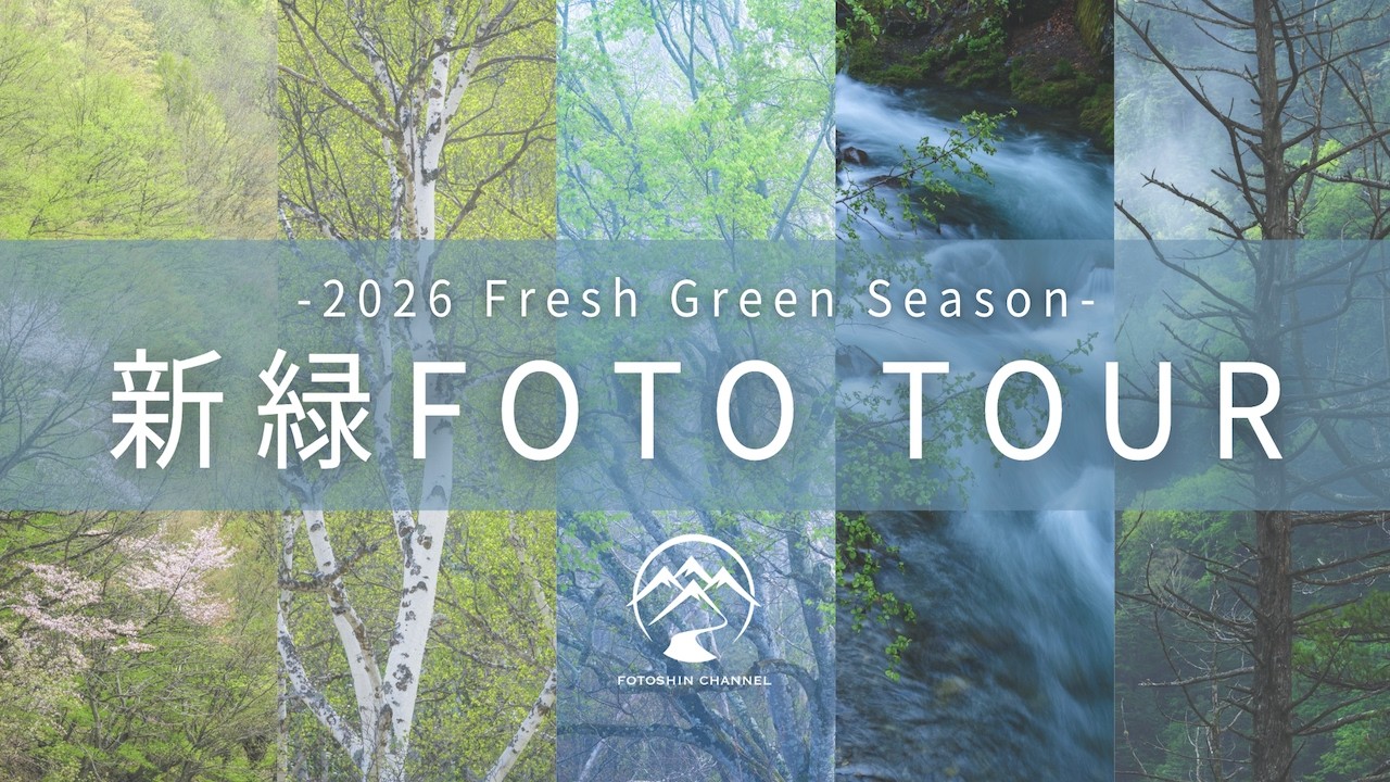 【ツアーのお知らせ】2026年 新緑FOTO TOUR予約開始