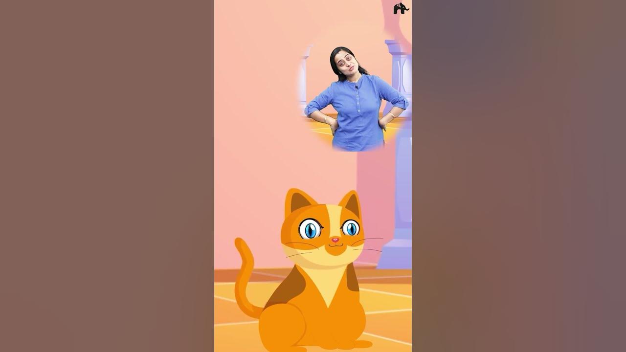 Pussy Cat, Pussy Cat where have you been #shorts #childrensrhyme #nurseryrhymes Pussy Cat, Pussy Cat where have you been #shorts #childrensrhyme #nurseryrhymes