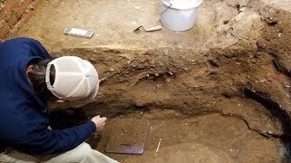 Surprise cellar found under Jamestown's churches