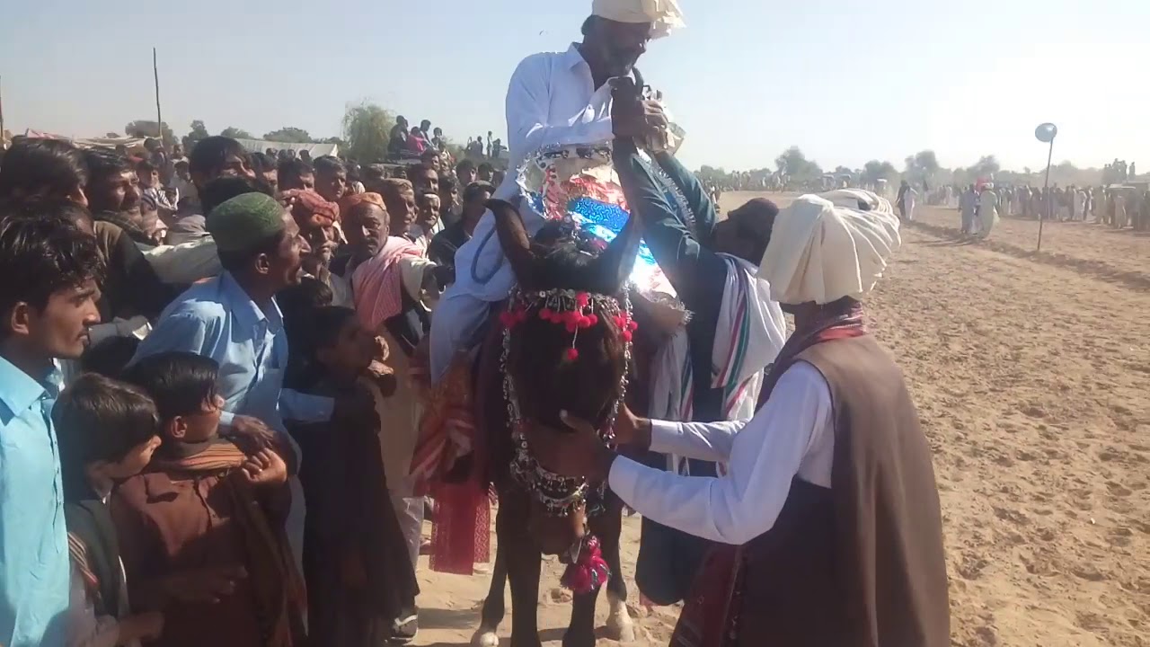 Ghora Raching horse Race 2020, Ghora - YouTube