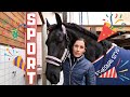 On the road again. SPORT for Reintje! | Friesian Horses