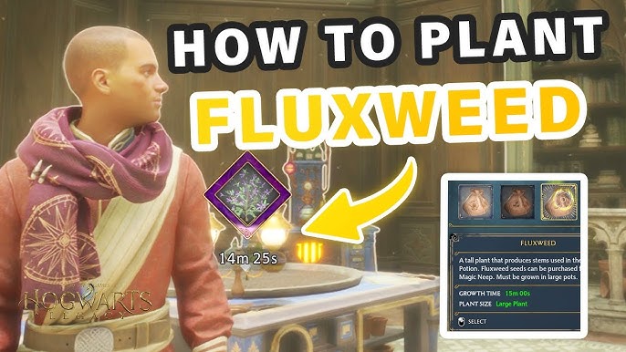 Where to find Fluxweed Stem: Hogwarts Legacy guide : r/TechBriefly