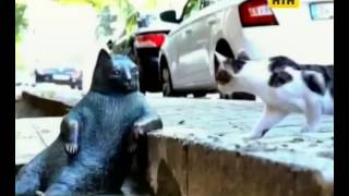 tkntn 20161005 0830 011