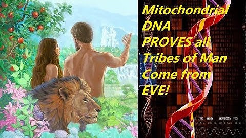 Mitochondrial DNA Proves Mother EVE! Young EARTH!